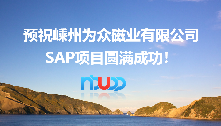 優(yōu)德普,嵊州為眾磁業(yè),SAP ByD項(xiàng)目,SAP Business ByDesign ERP云,SAP ByD案例