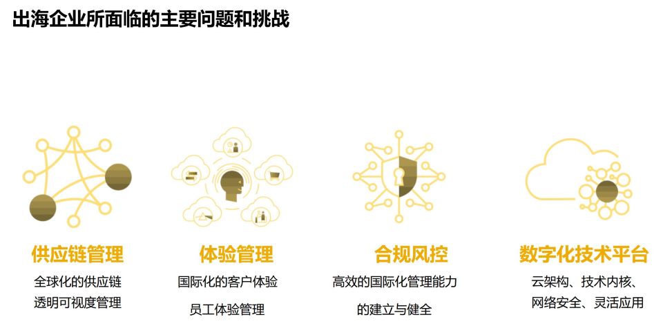 中國企業(yè)高質(zhì)量出海,ERP出海模塊,企業(yè)出海,SAP