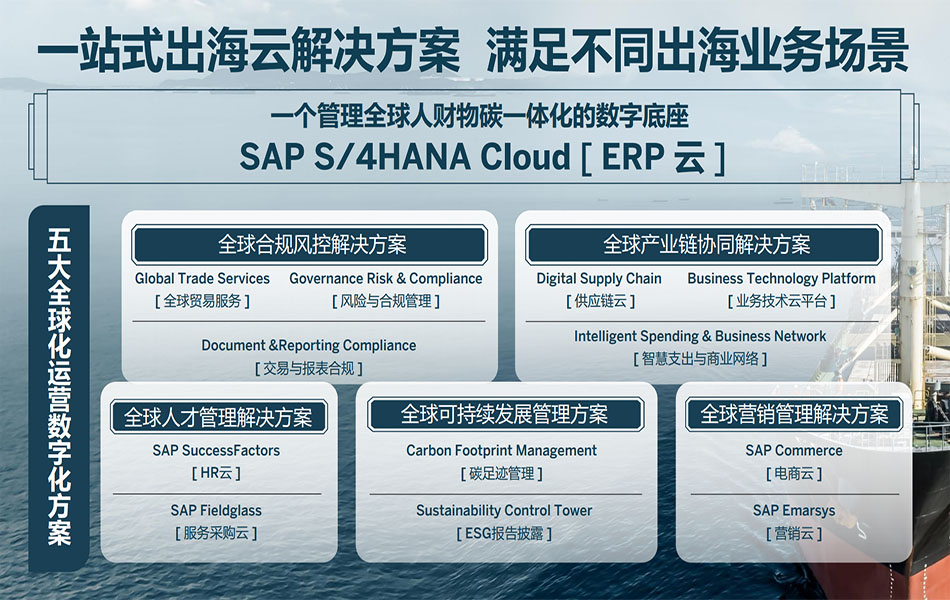 中國企業(yè)高質(zhì)量出海,ERP出海模塊,企業(yè)出海,SAP