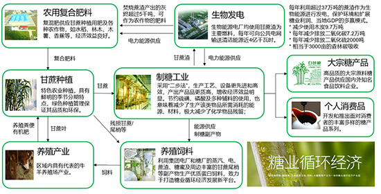 SAP系統(tǒng),消費品企業(yè)可持續(xù)發(fā)展,消費品企業(yè)SAP系統(tǒng),消費品企業(yè)ERP系統(tǒng),消費品SAP系統(tǒng),消費品ERP系統(tǒng),SAP系統(tǒng)助力消費品企業(yè)可持續(xù)發(fā)展