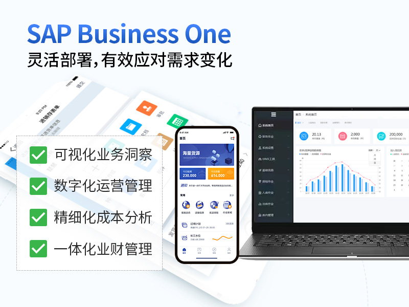 江蘇SAP,江蘇SAP供應商,ERP軟件,SAP實施商,優(yōu)德普,SAP本地實施,SAP ERP軟件,SAP系統(tǒng)