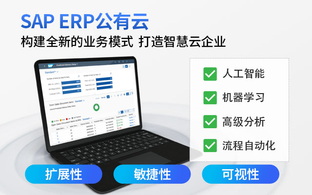 江浙erp,生產(chǎn)企業(yè)erp,erp品牌,SAP中大型集團,企業(yè)erp系統(tǒng),浙江erp,江蘇SAP