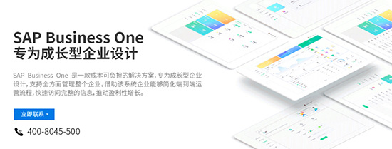 ERP系統(tǒng)品牌,SAP,ERP產品, 國內SAP代理商,優(yōu)德普SAP產品,ERP品牌