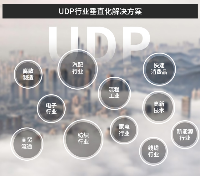 sap實(shí)施公司,國內(nèi)sap實(shí)施公司排名,國內(nèi)比較好的sap實(shí)施公司,優(yōu)德普,好的sap實(shí)施商