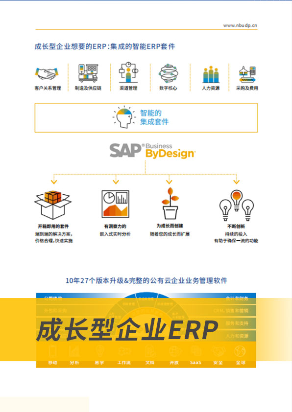 ERP軟件,本地化,ERP實(shí)施商,優(yōu)德普,ERP本地實(shí)施,SAP ERP軟件,SAP系統(tǒng)